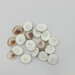 Gomti Chakra Premium - Small