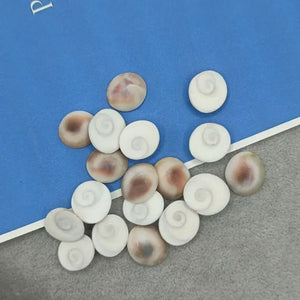 Gomti Chakra Premium - Small