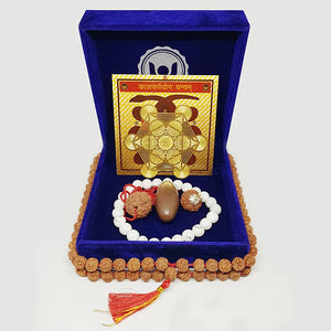 Kaal Sarp Dosh Nivaran Kit