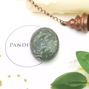 Kambaba Jasper Healing Crystal Palm Stone