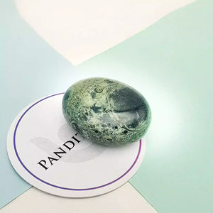 Kambaba Jasper Healing Crystal Palm Stone