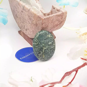 Kambaba Jasper Worry Stone