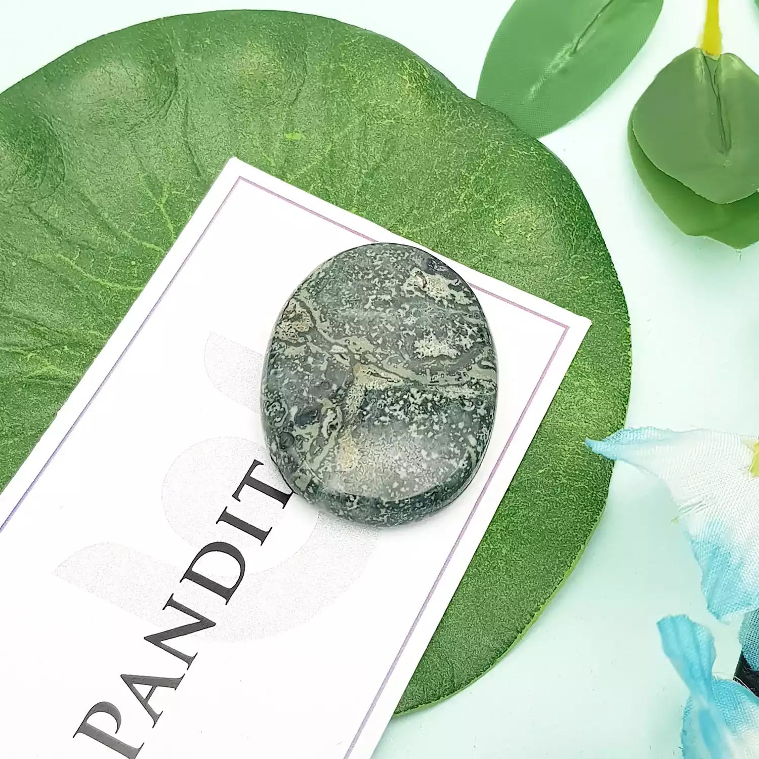 Kambaba Jasper Worry Stone