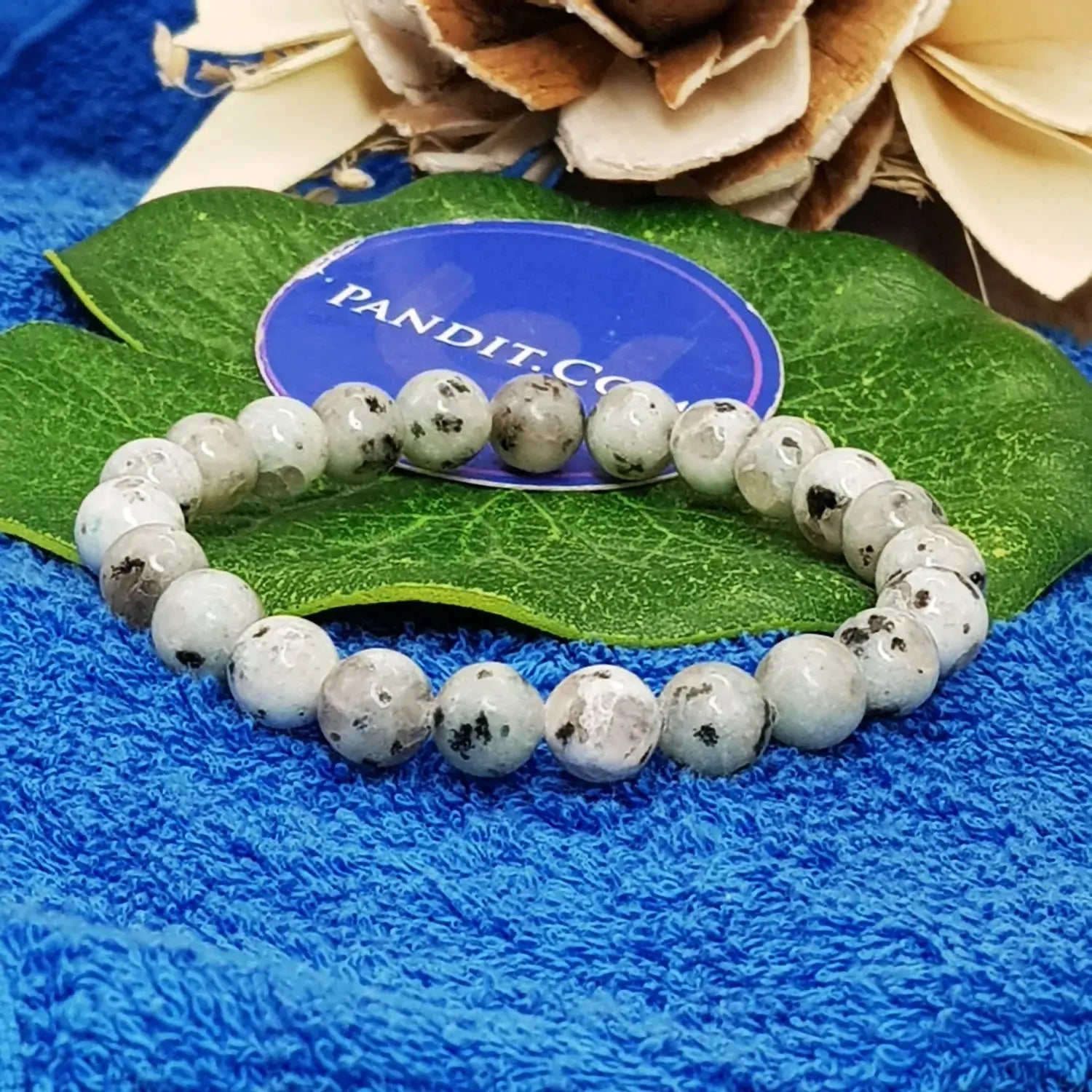 Kiwi Jasper Bracelet