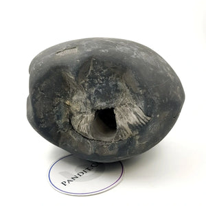 Lakshmi Narayan Shaligram