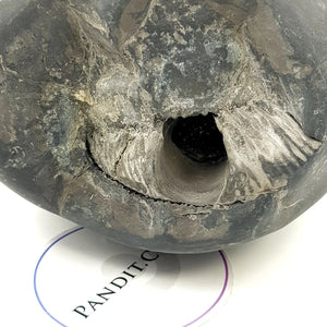 Lakshmi Narayan Shaligram