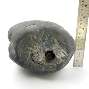 Lakshmi Narayan Shaligram