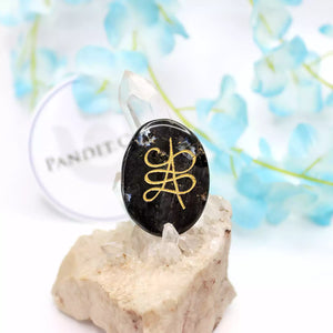 Larvikite Zibu Symbol Coin