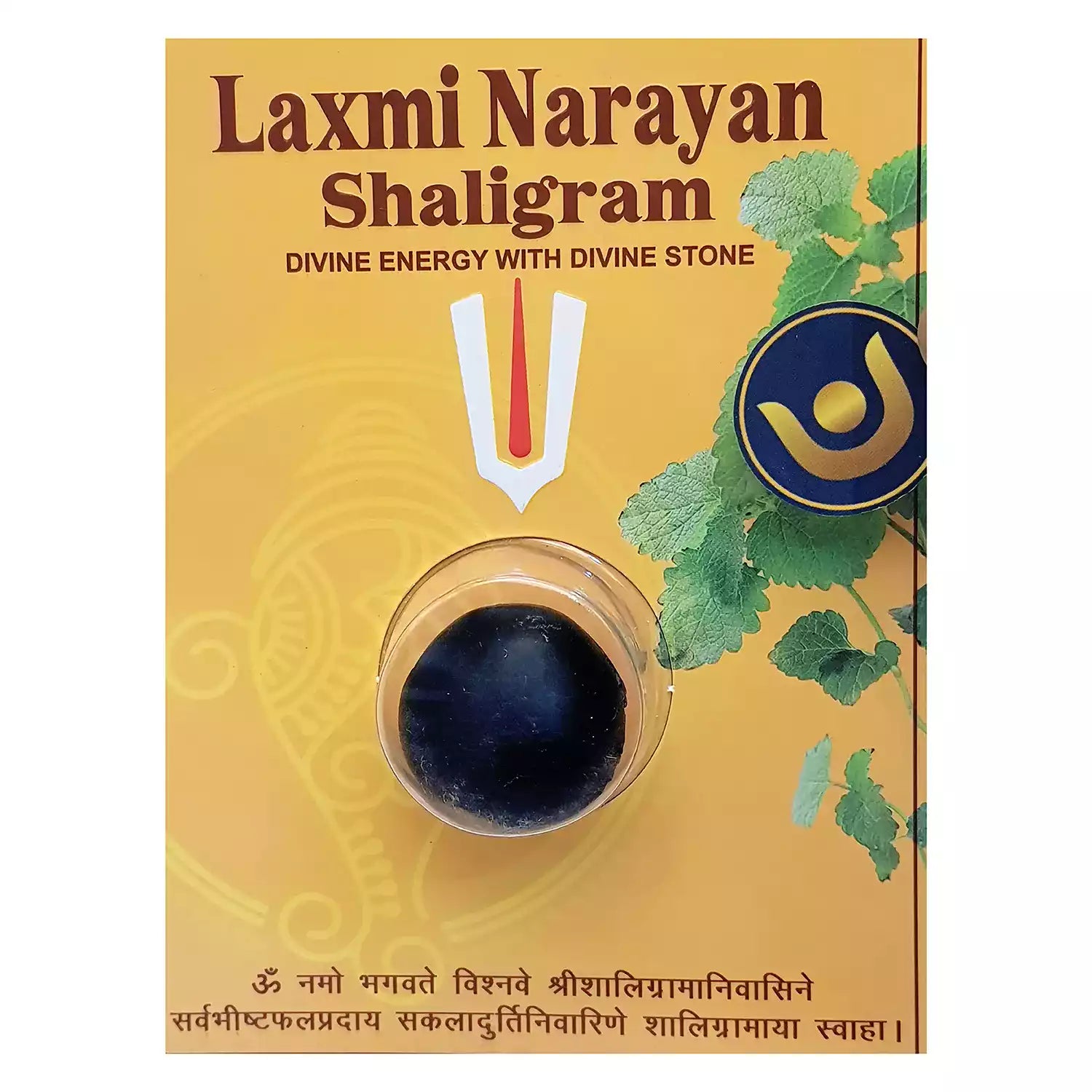 Laxmi Narayan Shaligram