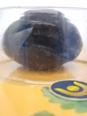 Laxmi Narayan Shaligram