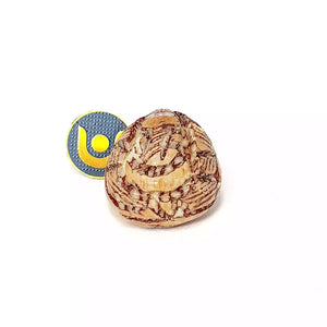 Lord Ganesha Supari Idol