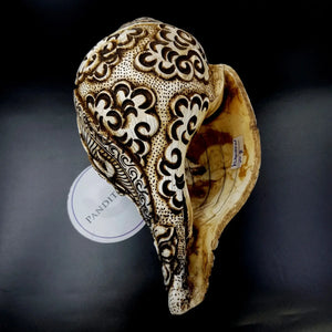 Lord Vishnu Carved Shankh