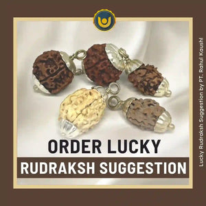 Lucky Rudraksha Suggestion