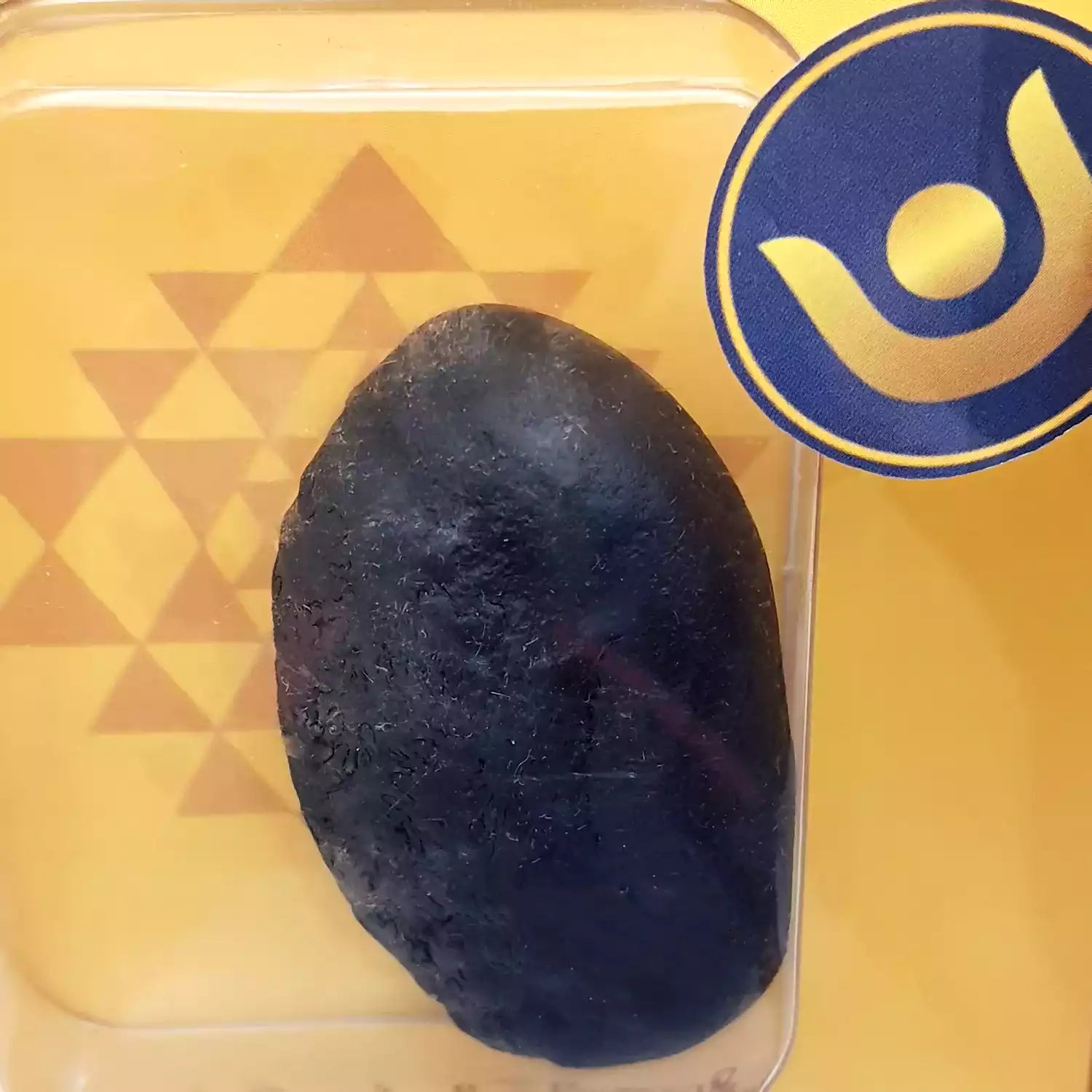 Mahalakshmi Shaligram