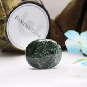 Moss Agate Healing Crystal Palm Stone