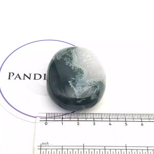 Moss Agate Healing Crystal Palm Stone