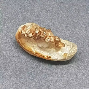 Natural Chandra Mani