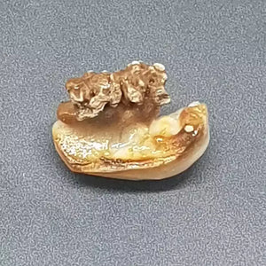 Natural Chandra Mani