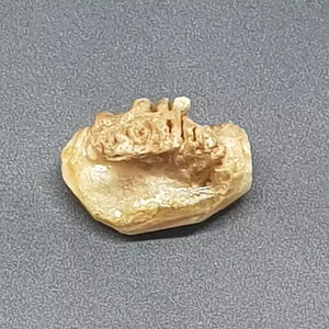 Natural Chandra Mani