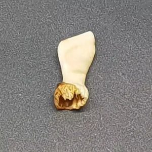 Natural Ketu Mukta Mani