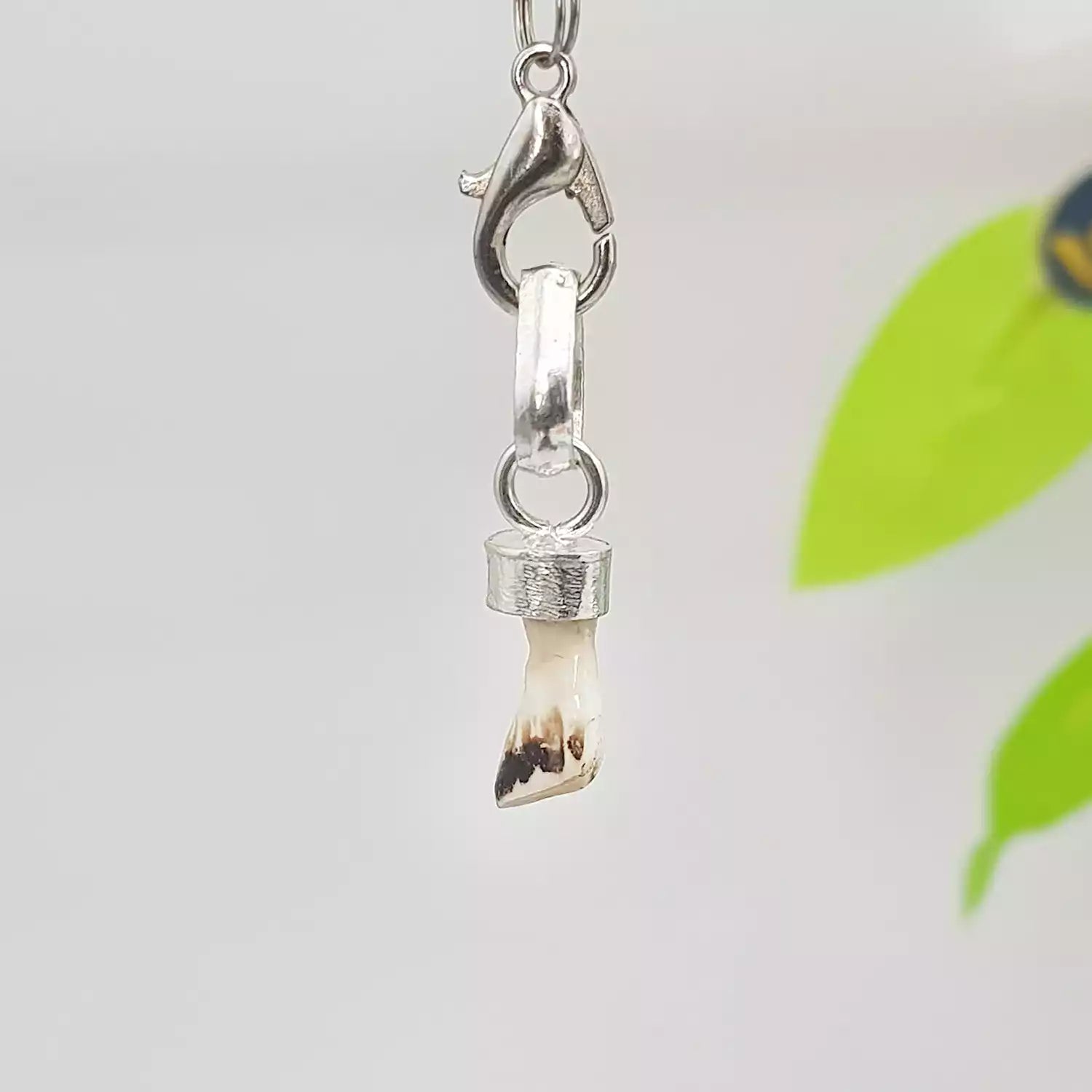 Natural Ketu Mukta Mani