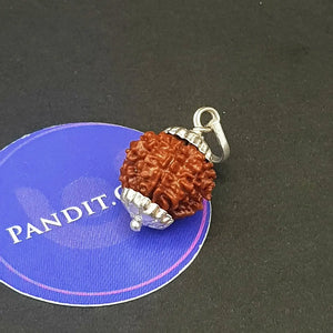 Nine Mukhi Premium Rare Rudraksha