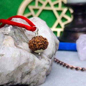 9 Mukhi Rudraksha – Indonesia