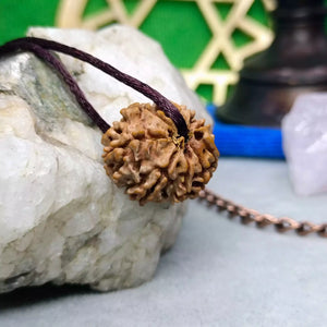 9 Faced Rudraksha – Nepal