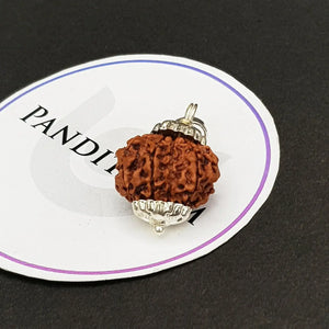 Nine Mukhi Nepali Rudraksha