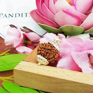 Nine Mukhi Nepali Rudraksha