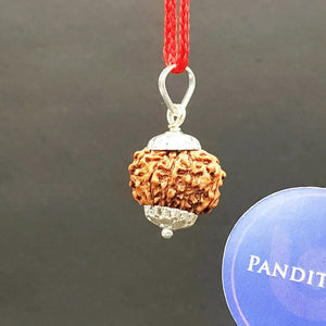 Nine Mukhi Nepali Rudraksha