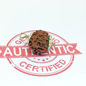 Nirakar Premium Rare Rudraksha