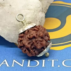 Nirakar Premium Rare Rudraksha