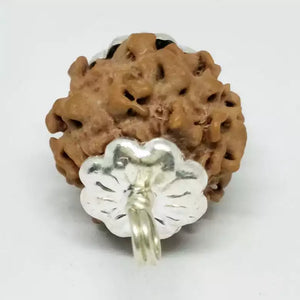 Nirakar Rudraksha - Nepal