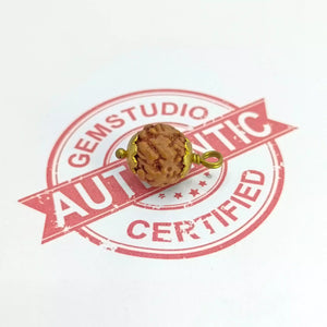 Nirakar Rudraksha – Indonesia