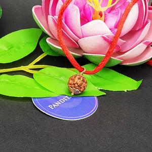 Nirakar Rudraksha - Indonesia