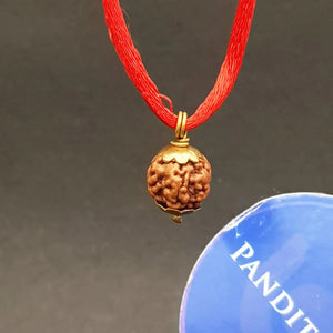 Nirakar Rudraksha - Indonesia