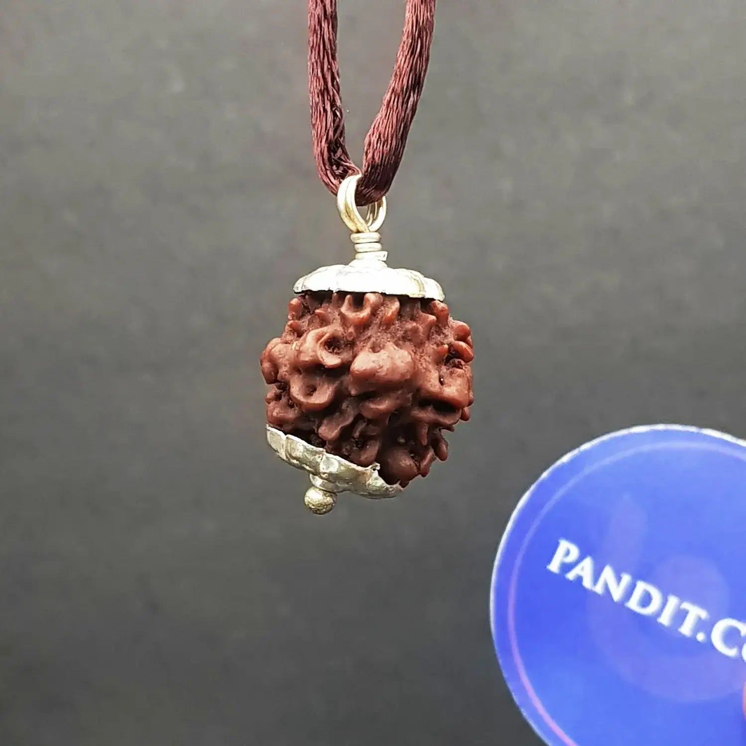 Nirakar Rudraksha - Nepal