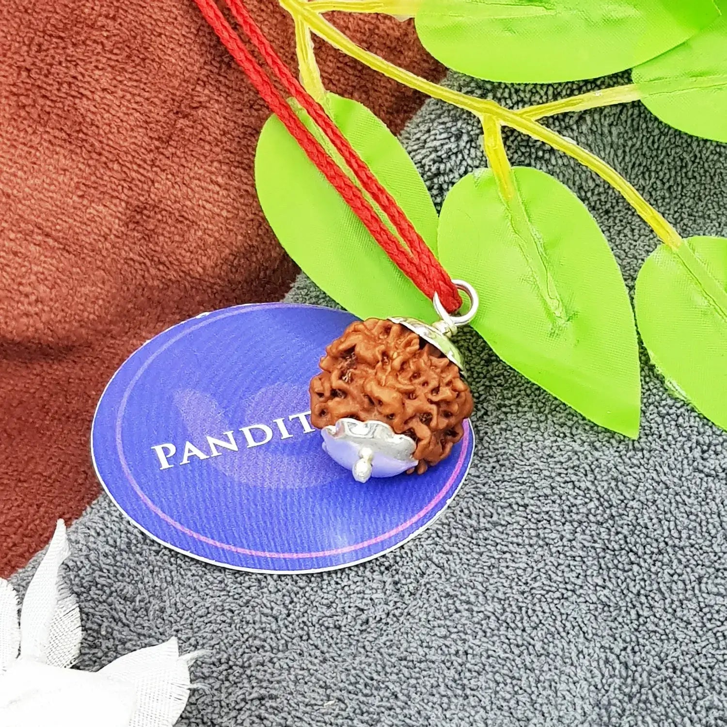 One Mukhi Premium Rare Rudraksha