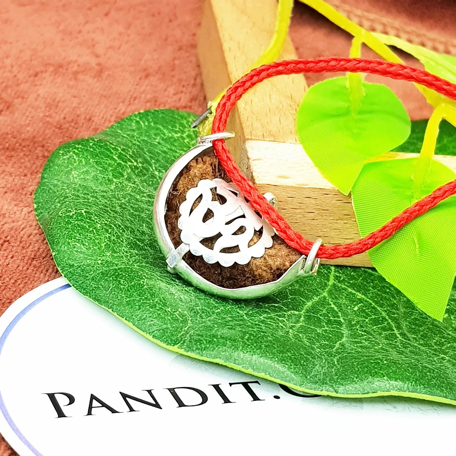 1 Faced Rudraksha – India