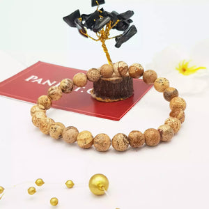 Picture Jasper Bracelet