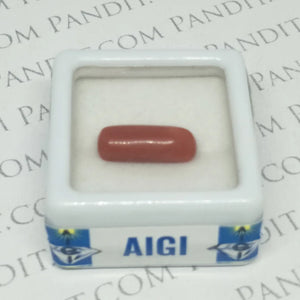 Red Coral Gemstone - Moonga Gemstone