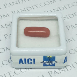 Red Coral Gemstone - Moonga Gemstone