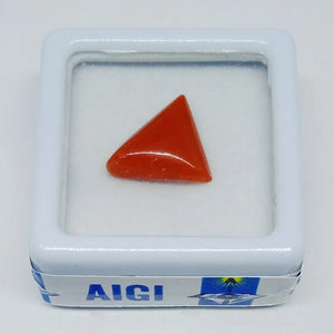 Red Coral Gemstone - Moonga Gemstone