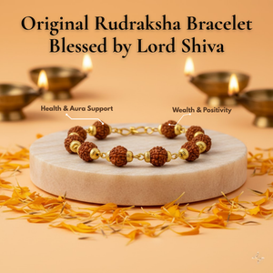 Rudraksha Bracelet with Brass Capping — main bead view showing mukhi (faces)