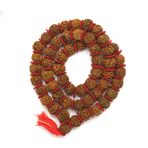 Rudraksha Kanthi Mala - Pandit.com
