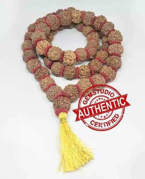 Rudraksha Kanthi Mala