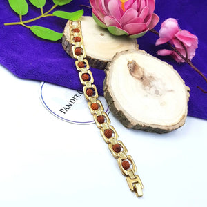 Rudraksha Premium Bracelet with Gold Plated Capping