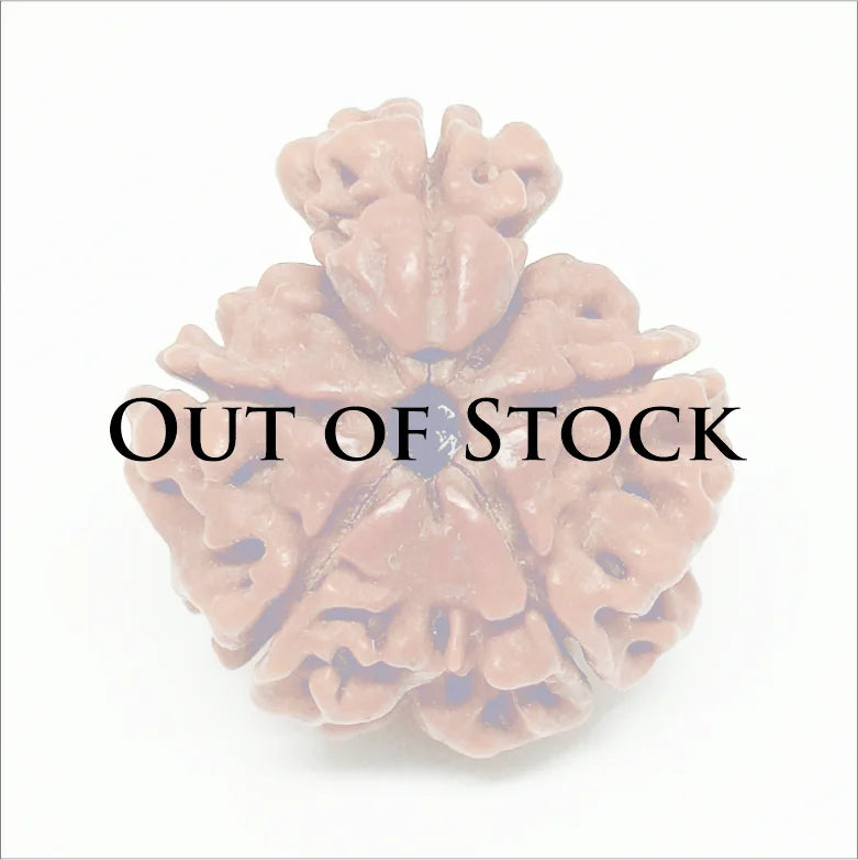 Savar Rudraksha – Premium Rare Rudraksha
