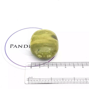 Serpentine Healing Crystal Palm Stone